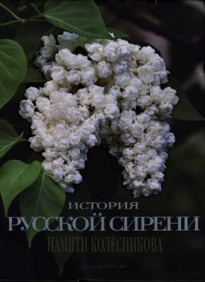 Image of Kolesnikov book