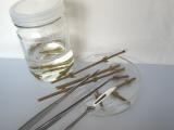 Lilac tissue culture (1)
